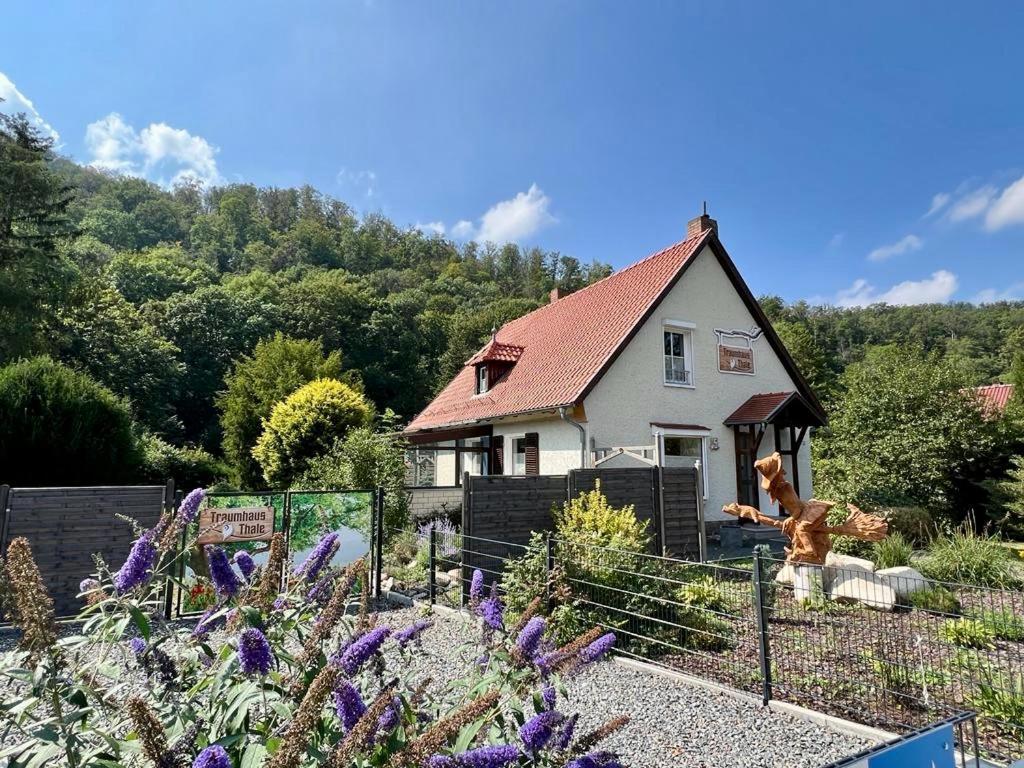 Traumhaus Thale Mit Sauna Und Kamin Zewnętrze zdjęcie
